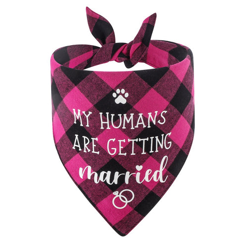 Dog Boy Girl Bandana Triangle Scarf